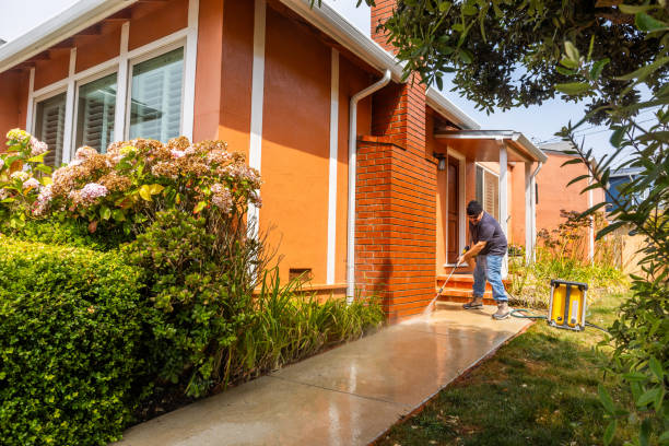 Best Sidewalk Pressure Washing  in Ormond Beach, FL
