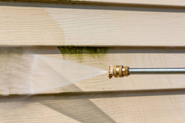 Best Local Pressure Washing Services  in Ormond Beach, FL